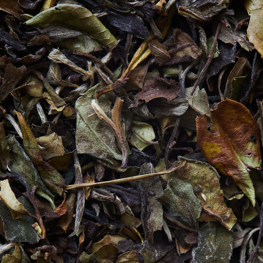 Herbata biała BAI MU DAN - 50 g