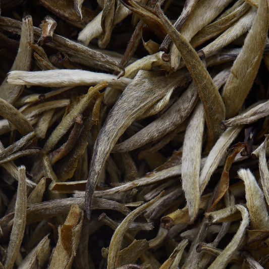 Herbata biała JASMIN IMPERIAL - 50 g